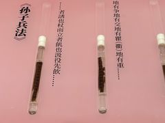 -银雀山汉墓竹简博物馆