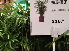 -IKEA宜家家居(南京商场)