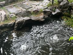 -南京市民俗博物馆(甘熙故居)