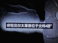 -很久以前羊肉串(簋街店)
