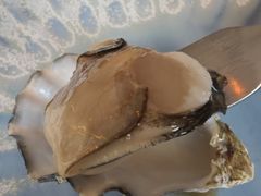 法国圣白露珍珠生蚝-斯普汇生蚝牛排馆(中骏世界城店)