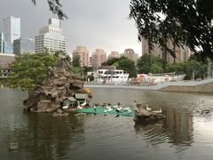 -团结湖公园