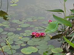 -天河潭旅游度假区