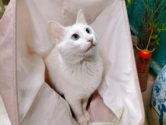 -一片田陶艺工作室