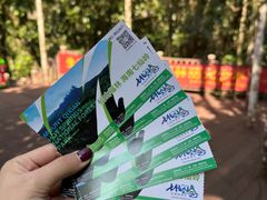 -七仙岭温泉国家森林公园