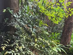 -时间仓(月湖公园店)