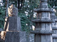 -黔灵山公园