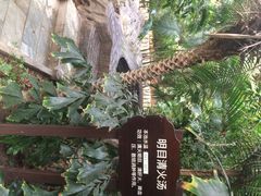 龙达温泉生态城-龙达温泉生态城