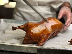 -秀儿四九城·新京菜(亚运村鸟巢店)