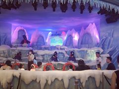 -帝企鹅自助餐厅•儿童岛•真企鹅(长隆企鹅酒店)