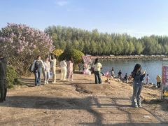 -丁香湖公园