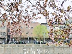 -东升八家郊野公园