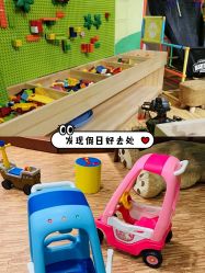 -绿野星空儿童乐园