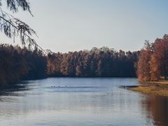 -上海海湾国家森林公园