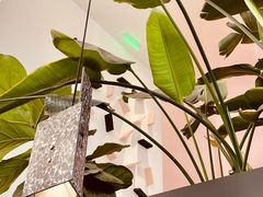 -渔芙南(三里屯店)