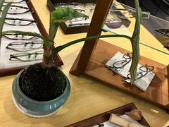 -Eziwish眼镜·蔡司授权店