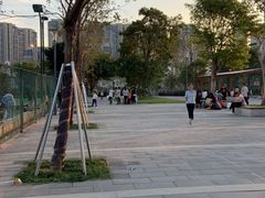 -光明港公园