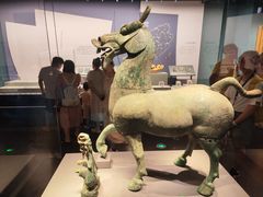 -广西壮族自治区博物馆