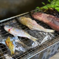 -268童话露营农场·烧烤·团建