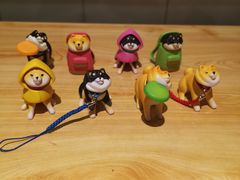 -柴务处·柴犬主题狗咖