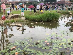 -龙江公园