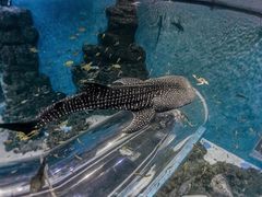 -成都浩海立方海洋公园