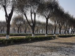 -济南国际园博园