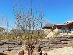 -石家庄市动物园