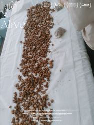 -姜美堂·蒸姜除湿の纤体美颜馆