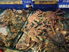 -开海·红岛海鲜虾水饺(石老人店)