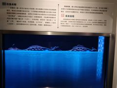 -白鹤梁水下博物馆