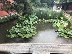 -潭柘寺景区