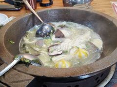 -鸭嘴鱼