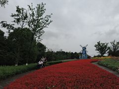 -铁山坪森林公园