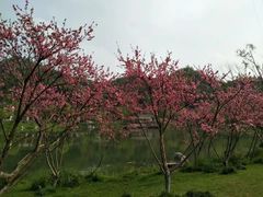 -常德桃花源景区