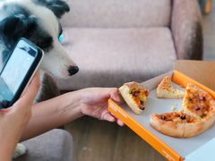 -汪说喵讲宠物乐园宠物酒店(红星美凯龙店)