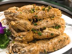 椒盐游水濑尿虾-蚝得喜海鲜(东城店)