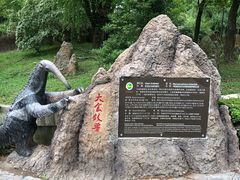 -野生动物园-停车场