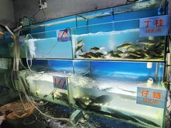 -米氏火鱼·泡椒鱼火锅(李子坝老店)