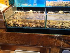 -苏格里岛·自助烤肉·火锅海鲜(金鼎广场店)