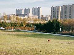 -长春世界雕塑园冰雪艺术天地