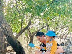 -宝安西湾红树林湿地公园