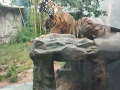 -南京汤山紫清湖生态旅游温泉度假区