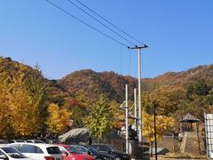 -遵化市禅林寺古银杏风景园