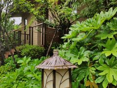 -杭州开元森泊度假乐园