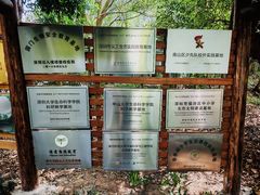 -华侨城湿地公园