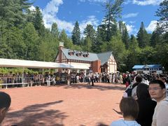 -五营红松林海景区