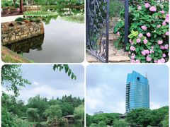 -无锡蠡湖国家湿地公园-蠡园