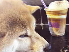 -HANA COFFEE(长寿路店)