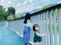 -银湖山郊野公园-相思林